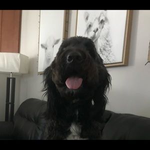 Meet your Posher, Shannon